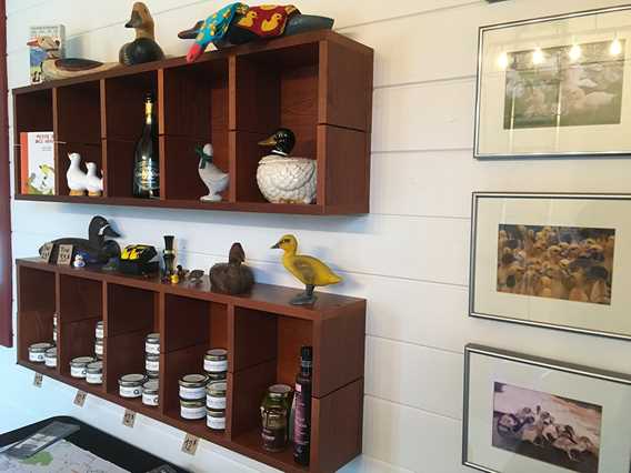 Les canards d'abord
