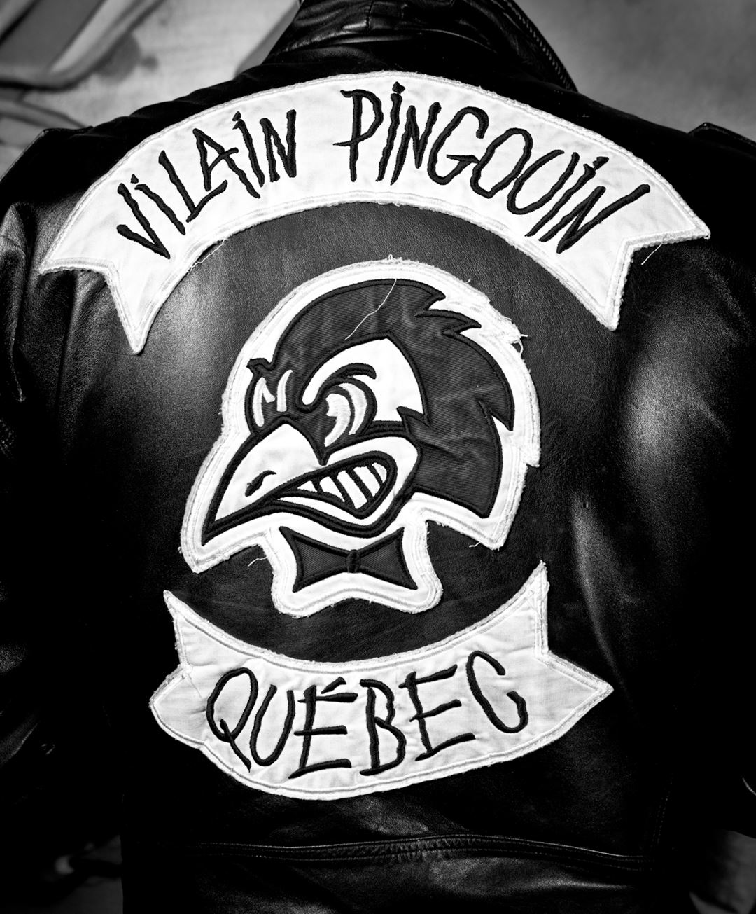 Villain Pingouin