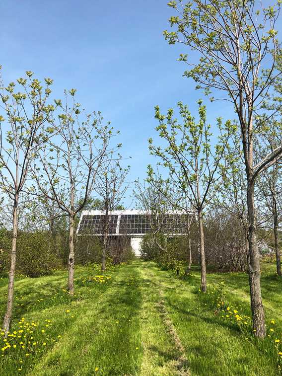 Au jardin des noix
