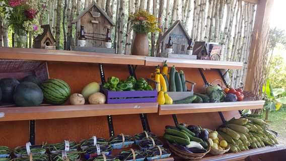 Étalage de légumes de Les P'tits fruits de Marie