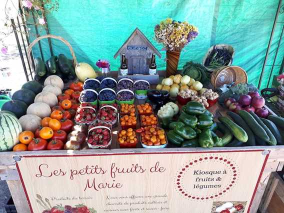 Les P'tits fruits de Marie
