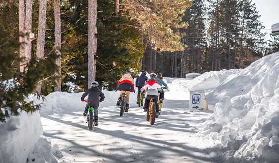 Fat bike au Camp-De-La-Salle