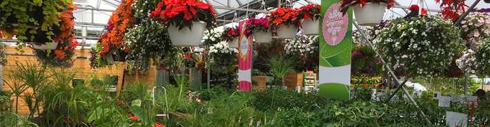 Greenhouses of Les Jardins Gourmands