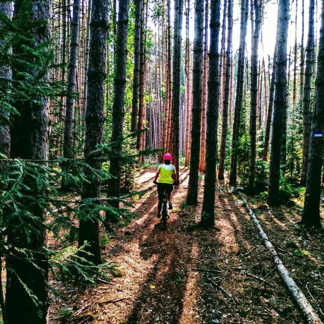 Vélo de montagne à la Tournée des Cantons de Rawdon