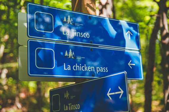 Panonceaux annonçant les sentiers de vélo de montagne à la Tournée des Cantons de Rawdon