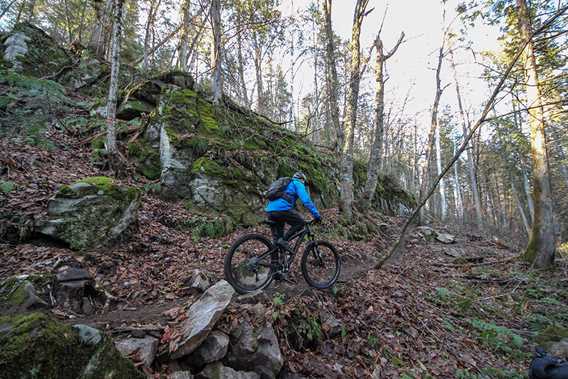 Mountain bike at Parc Louis-Philippe-De Grandpré