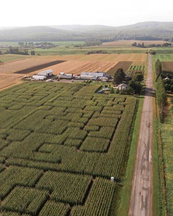 Le Grand Labyrinthe de Lanaudière à la Ferme Guy Rivest