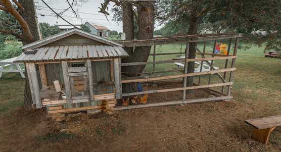 Chicken coop at Ferme Guy Rivest