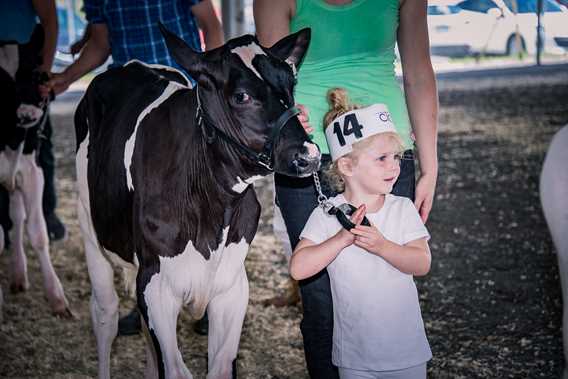 Exposition agricole régionale Rive-Nord