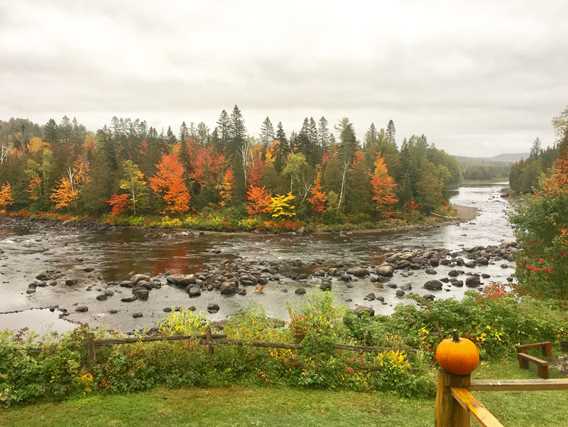 Chalets Lac et rivière