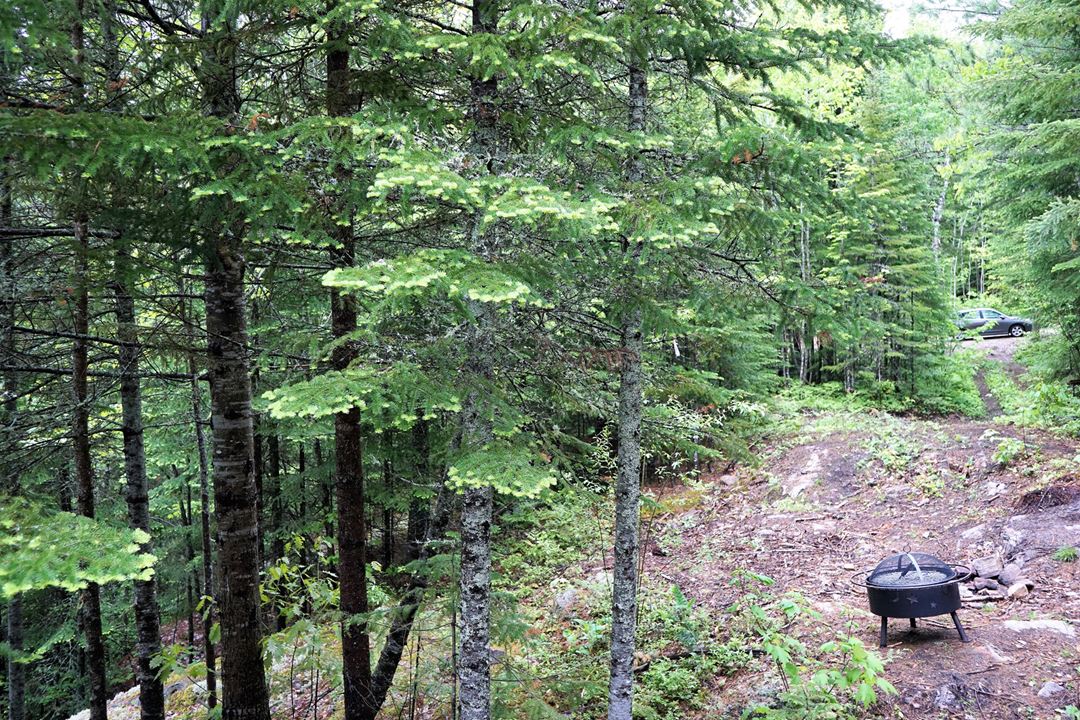 Chemin dans le bois chez Sow