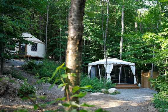 Yourte Tourterelle avec accès au gazebo