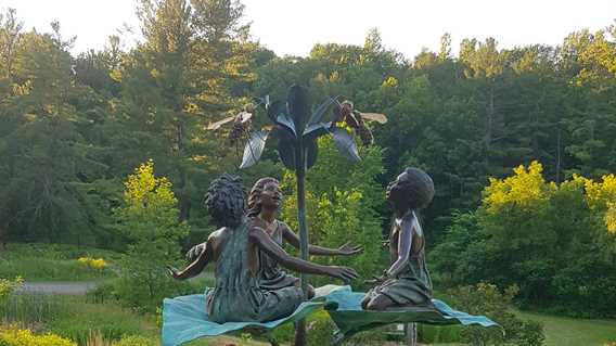 Les amis de Gaïa, Guy Pierre, 2017