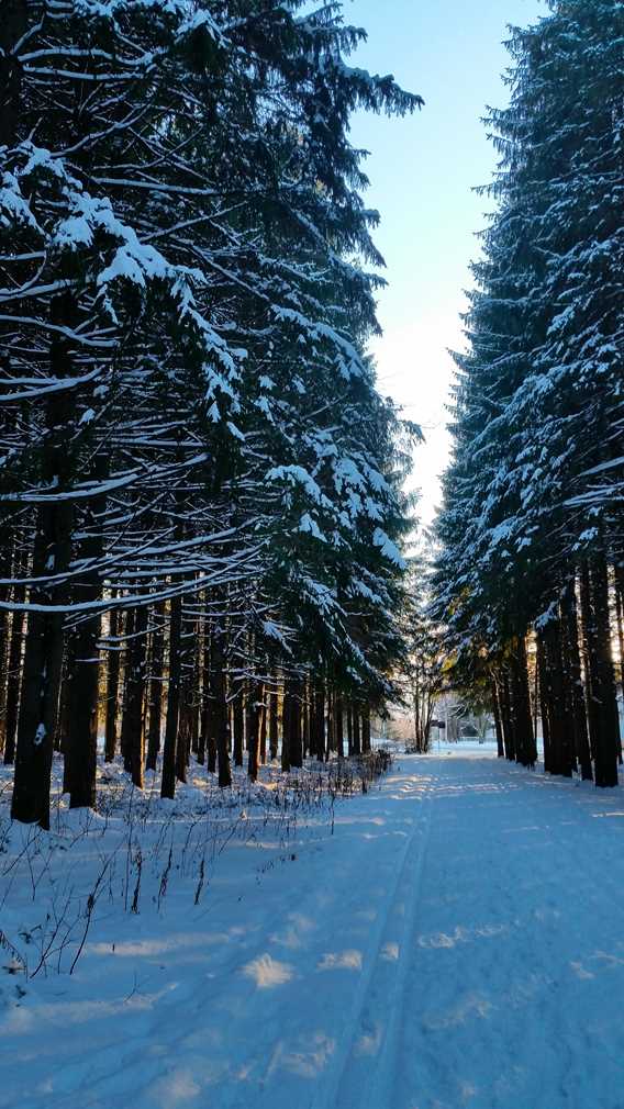 Sentier champêtre de Notre-Dame-des-Prairies