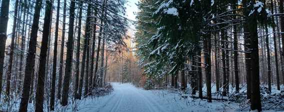 Sentier champêtre de Notre-Dame-des-Prairies