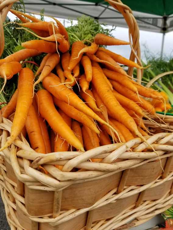 Marché public de Saint-Lin-Laurentides