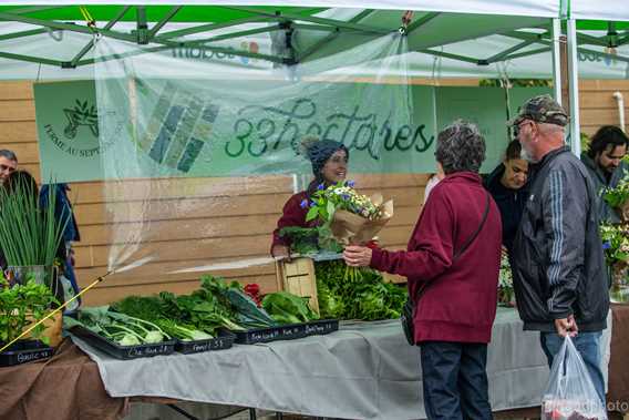 Marché public de Saint-Lin-Laurentides