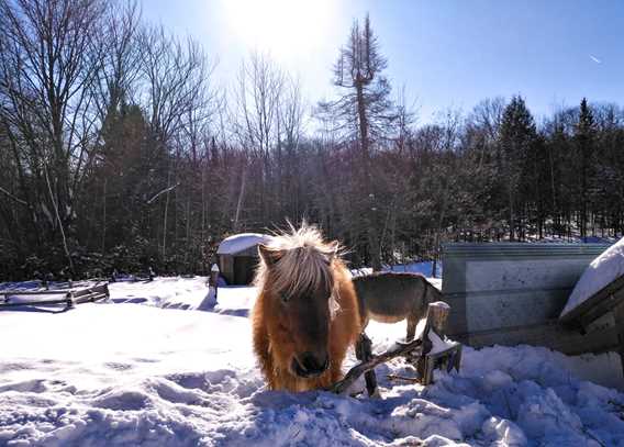 ferme-les-pieds-sur-terre