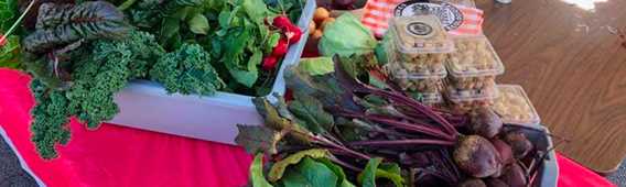 Marché Public Chertsey