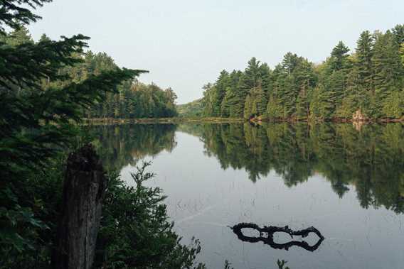Beside Habitat