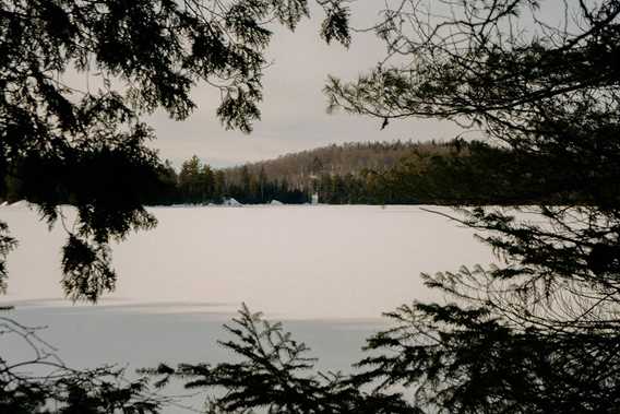 BESIDE Habitat
