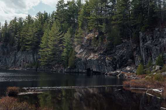 Beside Habitat