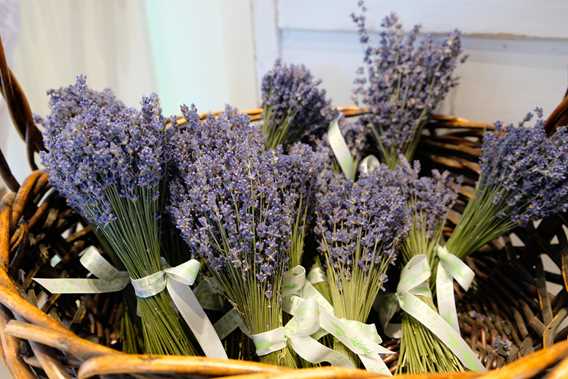 Les Jardins Arômes et Saveurs