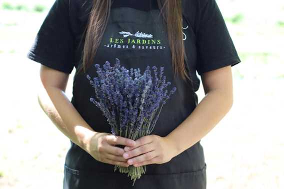 Les Jardins Arômes et Saveurs