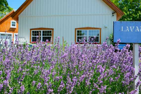 Les Jardins Arômes et Saveurs