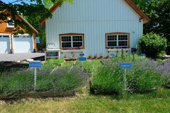 Les Jardins Arômes et Saveurs