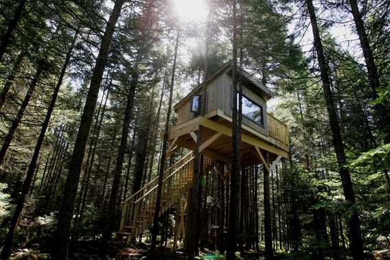 Kabania-cabins-in-the-trees