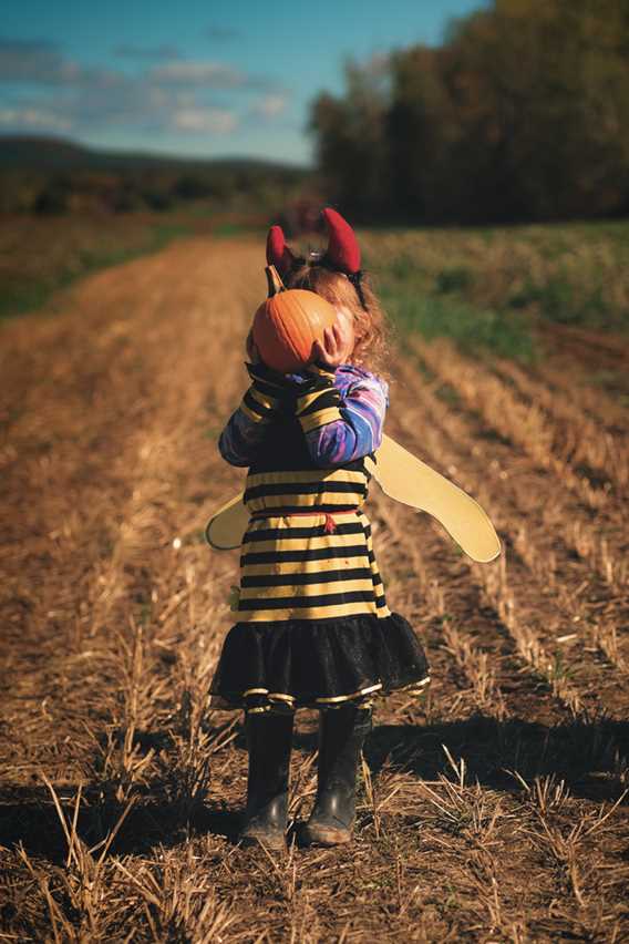 Little girl with a pumpkin in the field at Enracinés