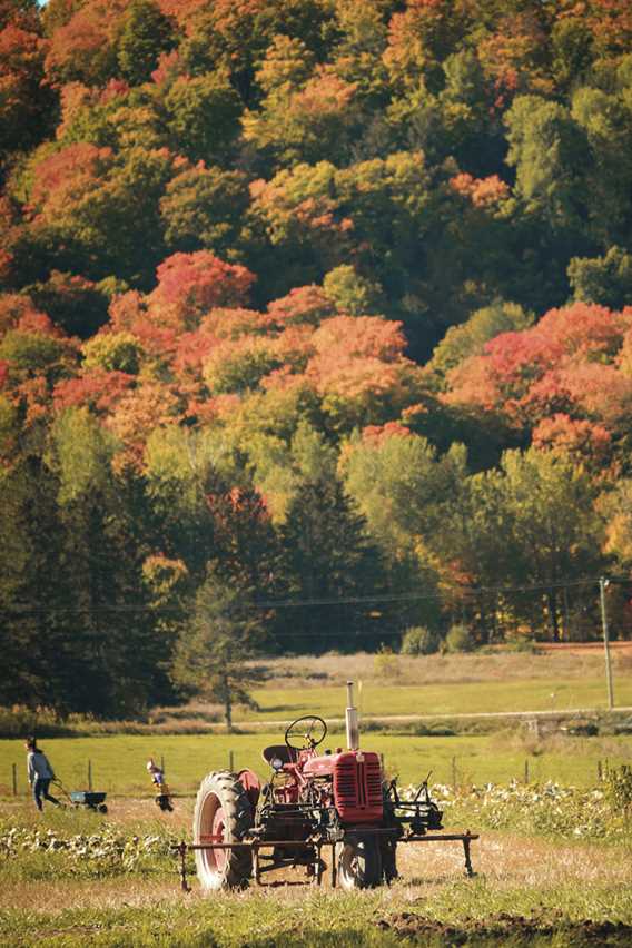 Tracteur dans le champ en automne chez Enracinés