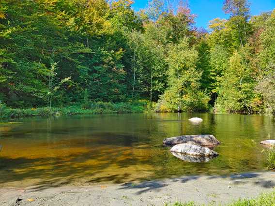 Lake at Estonia Hebergement