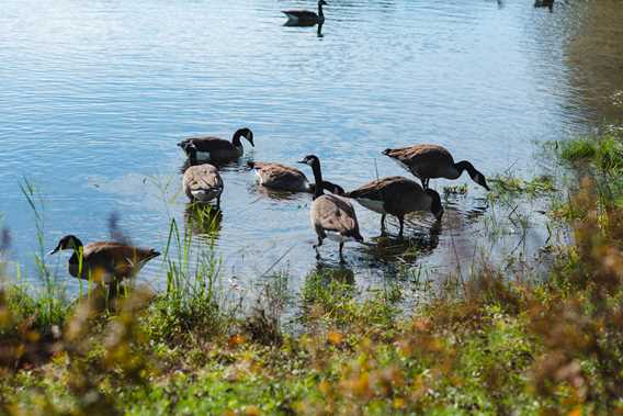 Parc du Grand-Coteau