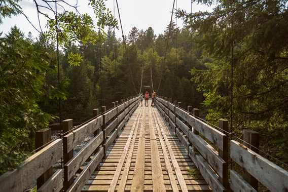 Pont parc régional de la forêt Ouareau