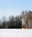 SCIRBI - Société de Conservation, d'Interprétation et de Recherche de Berthier et ses Îles