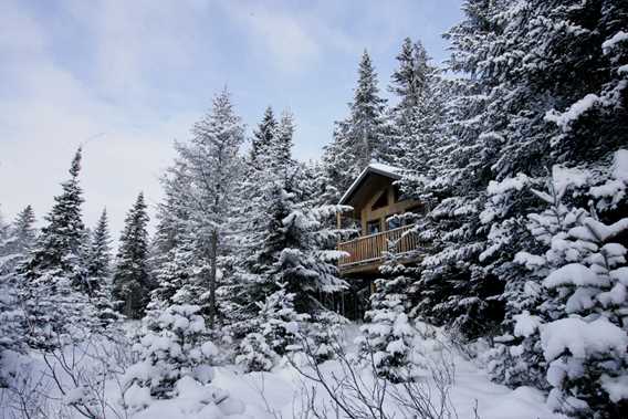 Kabania-cabins-in-the-trees