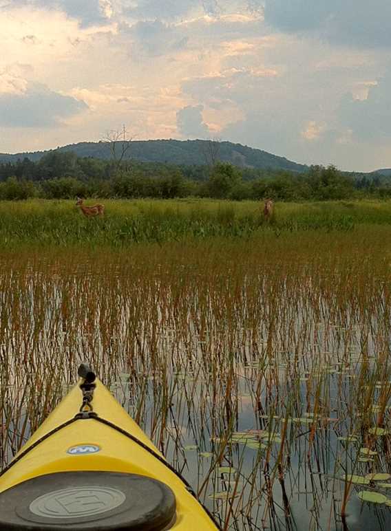 Kayak au Parc des Cascades