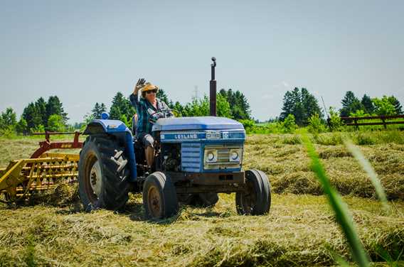 Tractor at Ferme Saint-Vincent