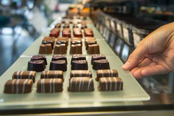 Chocolaterie Le Cacaoyer
