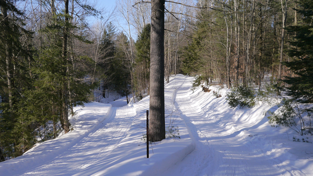 Chez-Ti-Jean-ski-de-fond