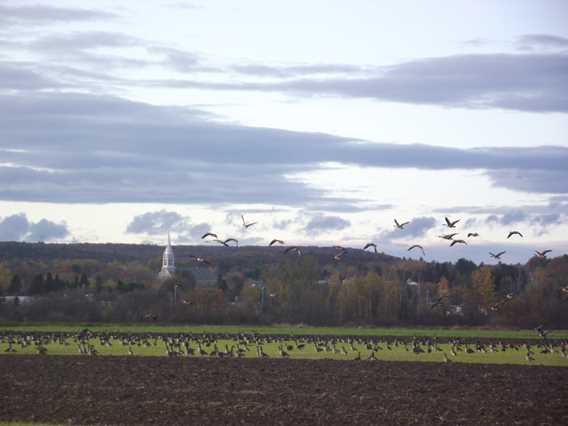 Entreprise Malisson