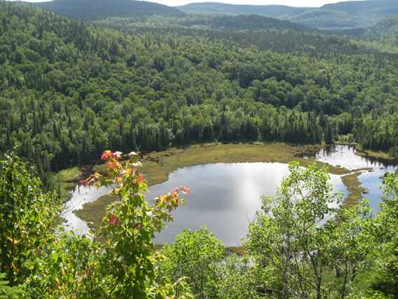 Sentier Zen'nature - Corporation de développement de Saint-Zénon