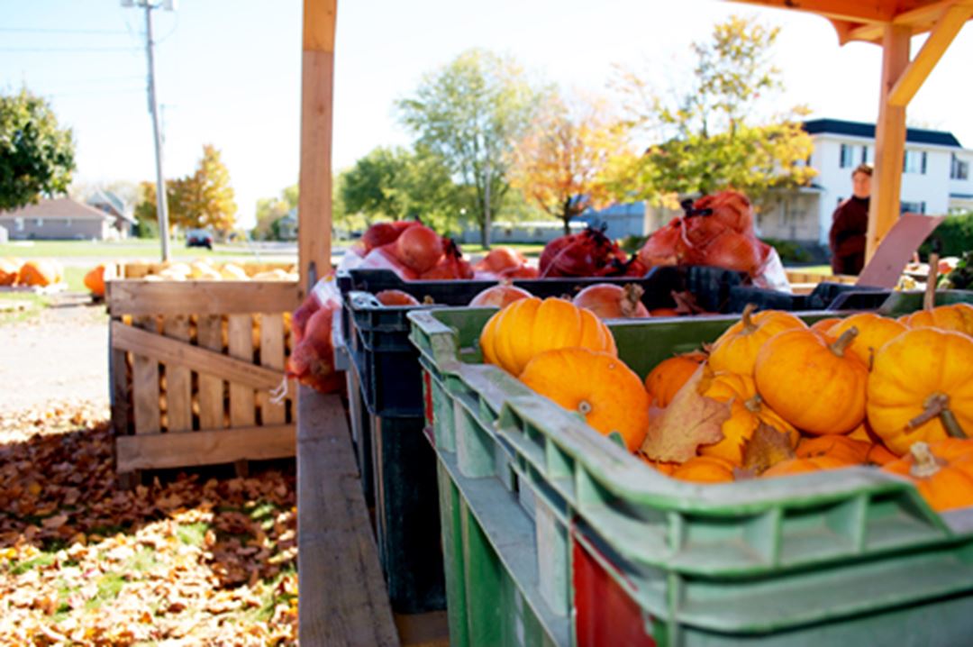 ferme-richard-desmarais-fruits-vegetables-stand