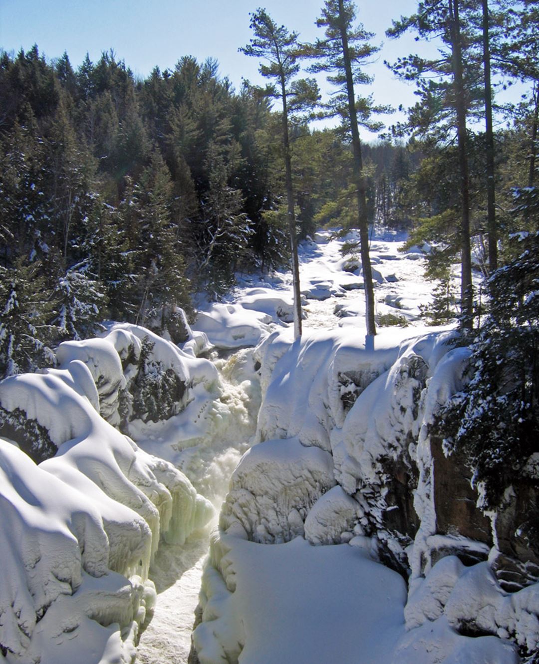 Parc régional des Chutes Dorwin