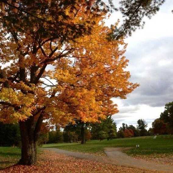 Rawdon Golf Resort