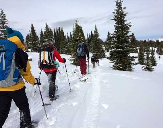 alpine-skiing-snowboard-reserve