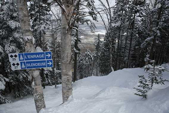 ski-alpin-snowboard-reserve