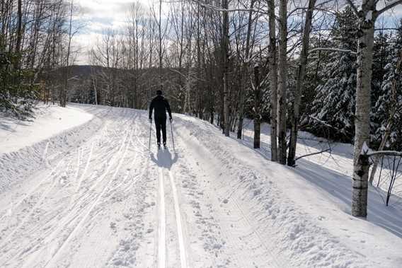 Ski de fond Montagne Coupée